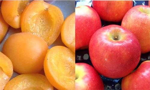 photo abricot et pomme