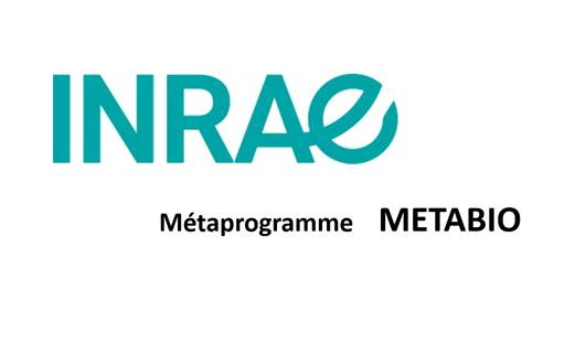 logo INRAE programme metabio