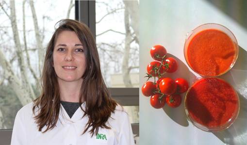 Carla Paes-Martins et son sujet d'étude : la tomate