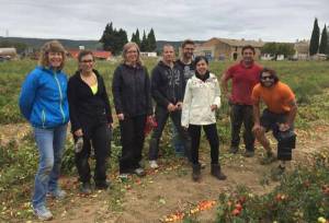 Diane Barrett et l'équipe de PSH pour la récolte des tomates